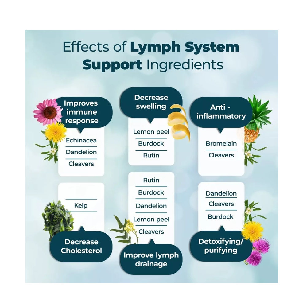 Kenofor LYMPH SYSTEM Support Capsules