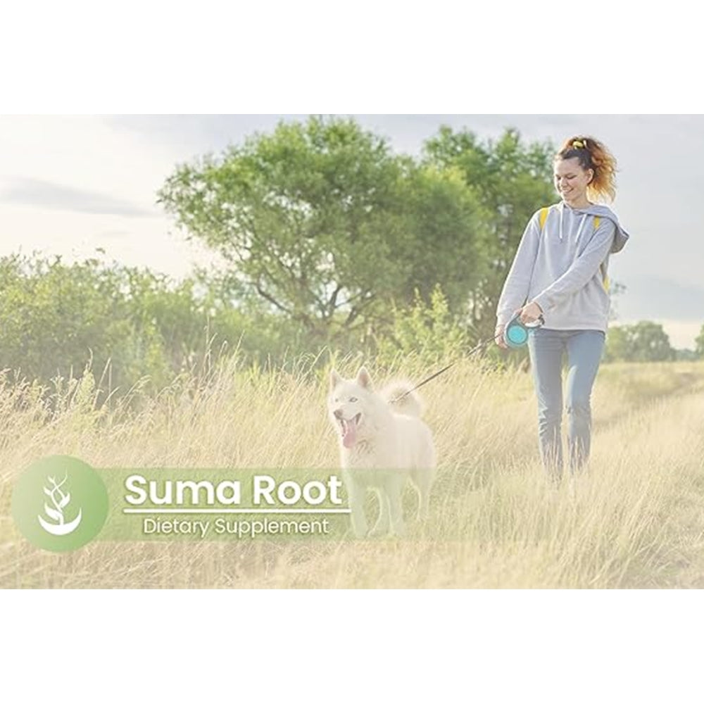 Pure Ingredients Suma Root 720mg - 100 Capsules | Lab-Verified