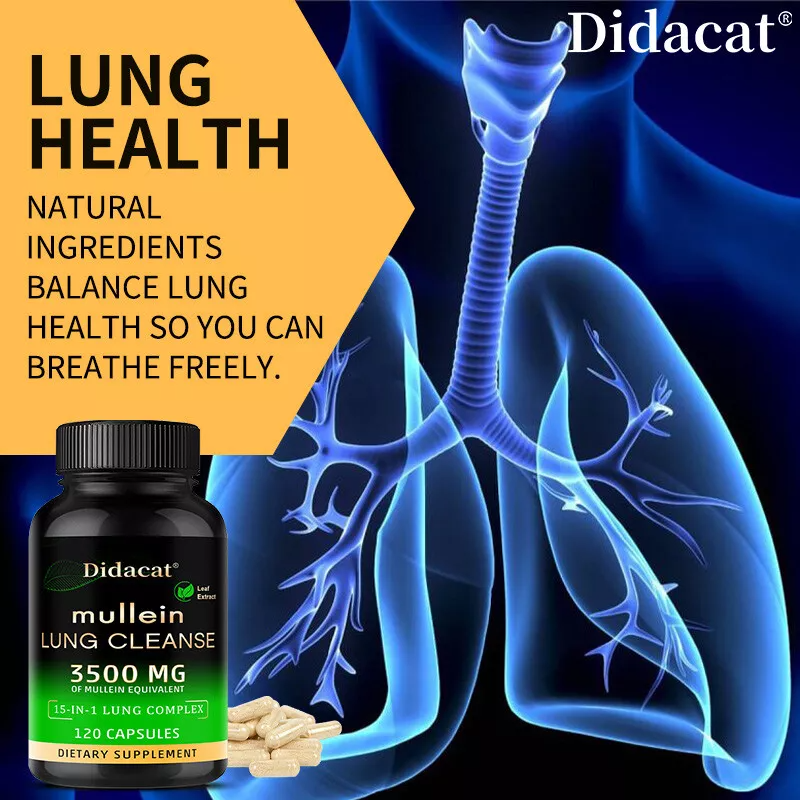 Didacat Mullein Lungs Cleanse Capsules