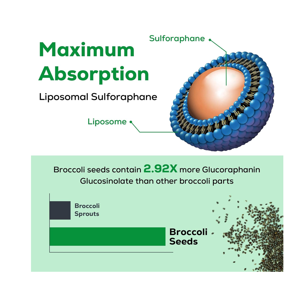 Osasuna Liposomal Sulforaphane Softgels