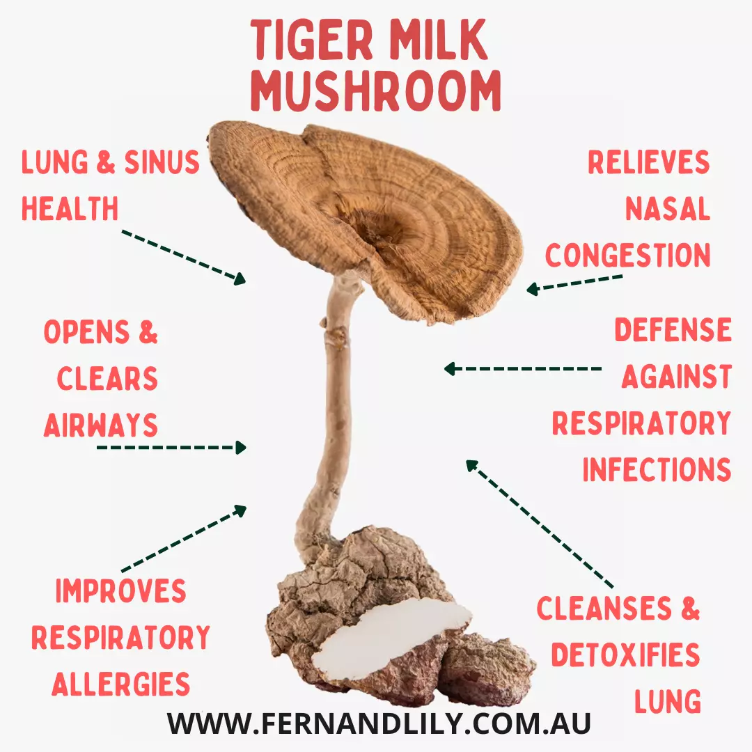 Fern & Lily Tiger Milk Mushroom Extract Capsules