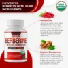 Decent Nature Berberine Capsules