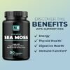 Nobi Nutrition Irish Sea Moss Capsules in Pakistan – Thyroid, Immunity & Gut Health Superfood Formula