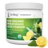 Dr. Berg Raw Organic Wheatgrass Juice Powder