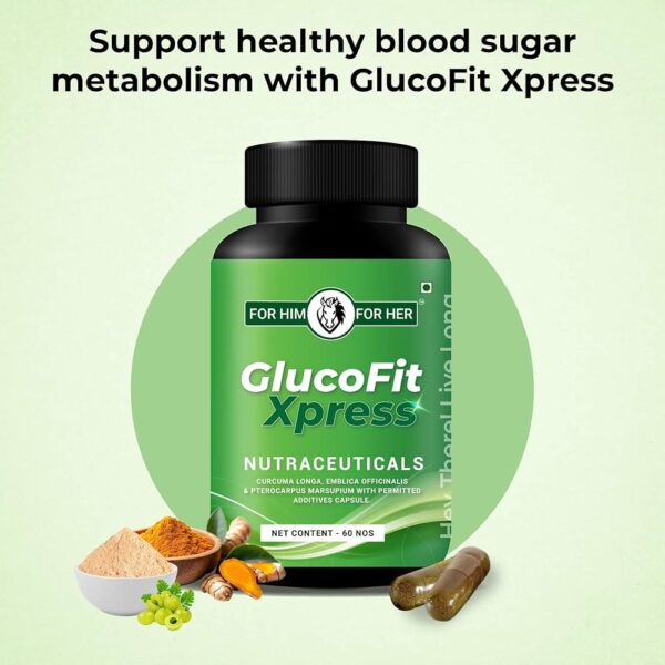 Glucofit™ – Advanced Blood Sugar & Insulin Support