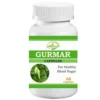 MH Gurmar Capsules – Blood Sugar Support in Pakistan